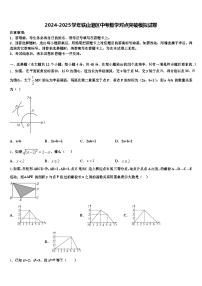 2024-2025学年铁山港区中考数学对点突破模拟试卷含解析