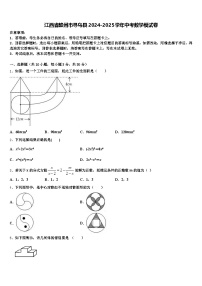 江西省赣州市寻乌县2024-2025学年中考数学模试卷含解析