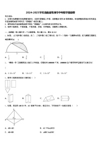 2024-2025学年湖南省株洲市中考数学猜题卷含解析