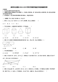 廊坊市永清县2024-2025学年中考数学最后冲刺浓缩精华卷含解析