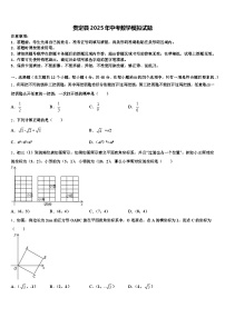 贵定县2025年中考数学模拟试题含解析