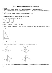 2025届南平市建瓯市中考适应性考试数学试题含解析