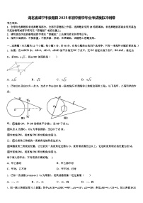 湖北省咸宁市崇阳县2025年初中数学毕业考试模拟冲刺卷含解析