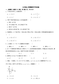 浙江省金华市2025年九年级上学期数学月考试卷附答案