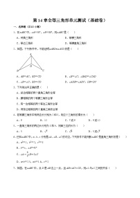 人教版（2024）八年级上册全等三角形单元测试综合训练题