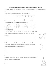 2025年陕西省西安市新城区爱知中学中考数学二模试卷【含答案】