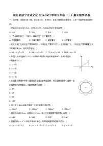 湖北省咸宁市咸安区2024-2025学年九年级（上）期末数学试卷【含答案】