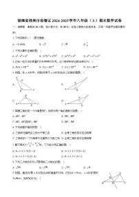 湖南省株洲市荷塘区2024-2025学年八年级（上）期末数学试卷【含答案】