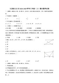 江西省九江市2024-2025学年八年级（上）期末数学试卷【含答案】