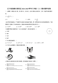 辽宁省抚顺市望花区2024-2025学年八年级（上）期末数学试卷【含答案】