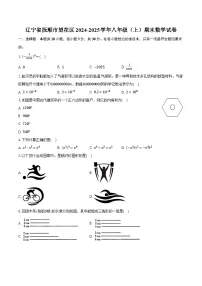 辽宁省抚顺市望花区2024-2025学年八年级（上）期末数学试卷【含答案】