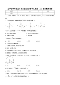 辽宁省铁岭市西丰县2024-2025学年九年级（上）期末数学试卷【含答案】
