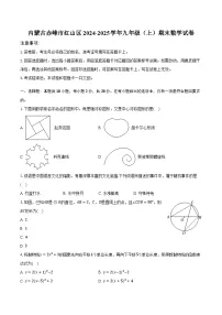 内蒙古赤峰市红山区2024-2025学年九年级（上）期末数学试卷【含答案】