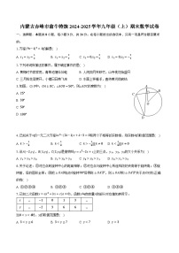 内蒙古赤峰市翁牛特旗2024-2025学年九年级（上）期末数学试卷【含答案】