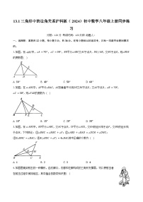 初中数学沪科版（2024）八年级上册（2024）13.1 三角形中的边角关系优秀练习题