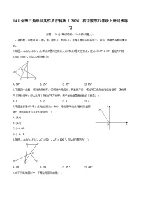 沪科版（2024）八年级上册（2024）14.1 全等三角形及其性质优秀习题