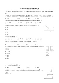 2025年云南省中考数学试卷（含详细答案解析）