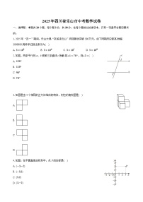 2025年四川省乐山市中考数学试卷（含详细答案解析）