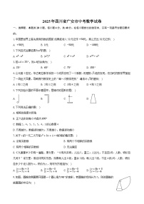 2025年四川省广安市中考数学试卷（含详细答案解析）