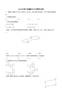 2025年四川省德阳市中考数学试卷（含详细答案解析）
