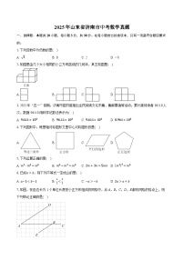 2025年山东省济南市中考数学真题（含详细答案解析）