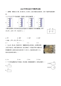 2025年河北省中考数学试卷（含详细答案解析）