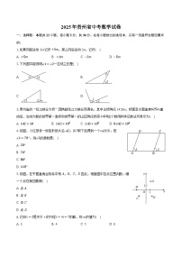 2025年贵州省中考数学试卷（含详细答案解析）