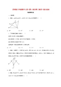 初中数学苏科版（2024）八年级上册（2024）1.2 全等三角形测试题