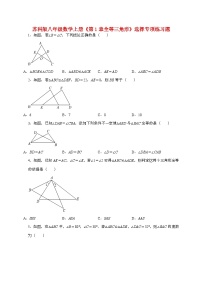 初中数学苏科版（2024）八年级上册全等三角形巩固练习