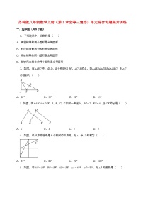 苏科版（2024）八年级上册全等三角形课时作业