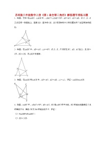 苏科版（2024）八年级上册全等三角形同步达标检测题