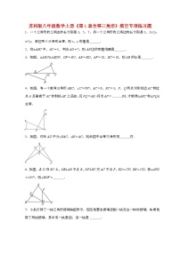 苏科版（2024）八年级上册全等三角形习题