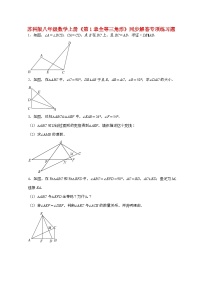 八年级上册全等三角形课后复习题