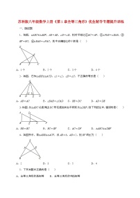苏科版（2024）八年级上册全等三角形课堂检测