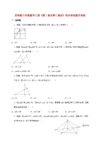 数学八年级上册全等三角形课时作业
