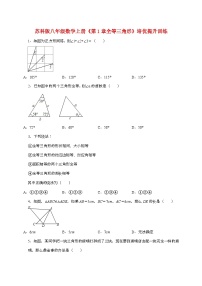 初中苏科版（2024）全等三角形巩固练习