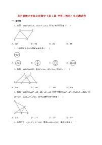 苏科版（2024）八年级上册全等三角形单元测试课后作业题
