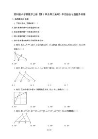 数学八年级上册（2024）1.2 全等三角形当堂达标检测题