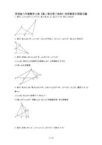 初中数学苏科版（2024）八年级上册（2024）1.2 全等三角形测试题
