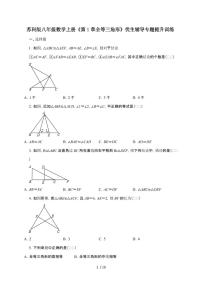初中数学苏科版（2024）八年级上册（2024）1.2 全等三角形同步测试题