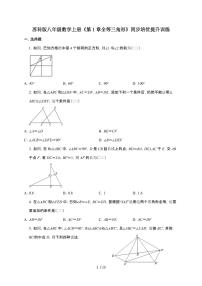 初中数学苏科版（2024）八年级上册（2024）第1章 三角形1.2 全等三角形综合训练题