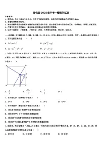 隆化县2025年中考一模数学试题含解析