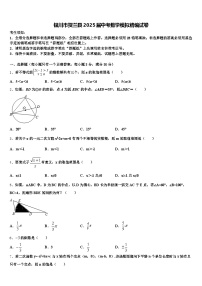 银川市贺兰县2025届中考数学模拟精编试卷含解析