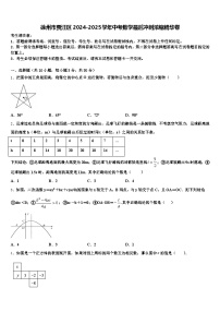 徐州市贾汪区2024-2025学年中考数学最后冲刺浓缩精华卷含解析