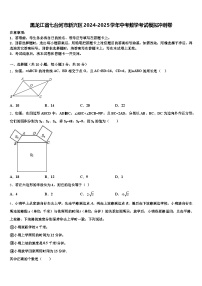 黑龙江省七台河市新兴区2024-2025学年中考数学考试模拟冲刺卷含解析