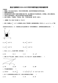 黑龙江省鹤岗市2024-2025学年中考数学最后冲刺浓缩精华卷含解析