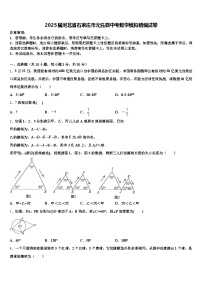 2025届河北省石家庄市元氏县中考数学模拟精编试卷含解析