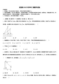 双流县2025年中考二模数学试题含解析