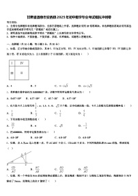 甘肃省酒泉市安西县2025年初中数学毕业考试模拟冲刺卷含解析