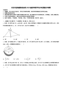 丹东市宽甸满族自治县2025届初中数学毕业考试模拟冲刺卷含解析